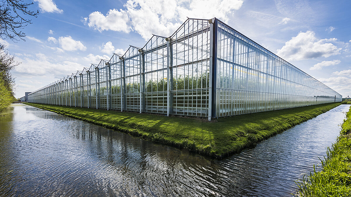 Greenhouse