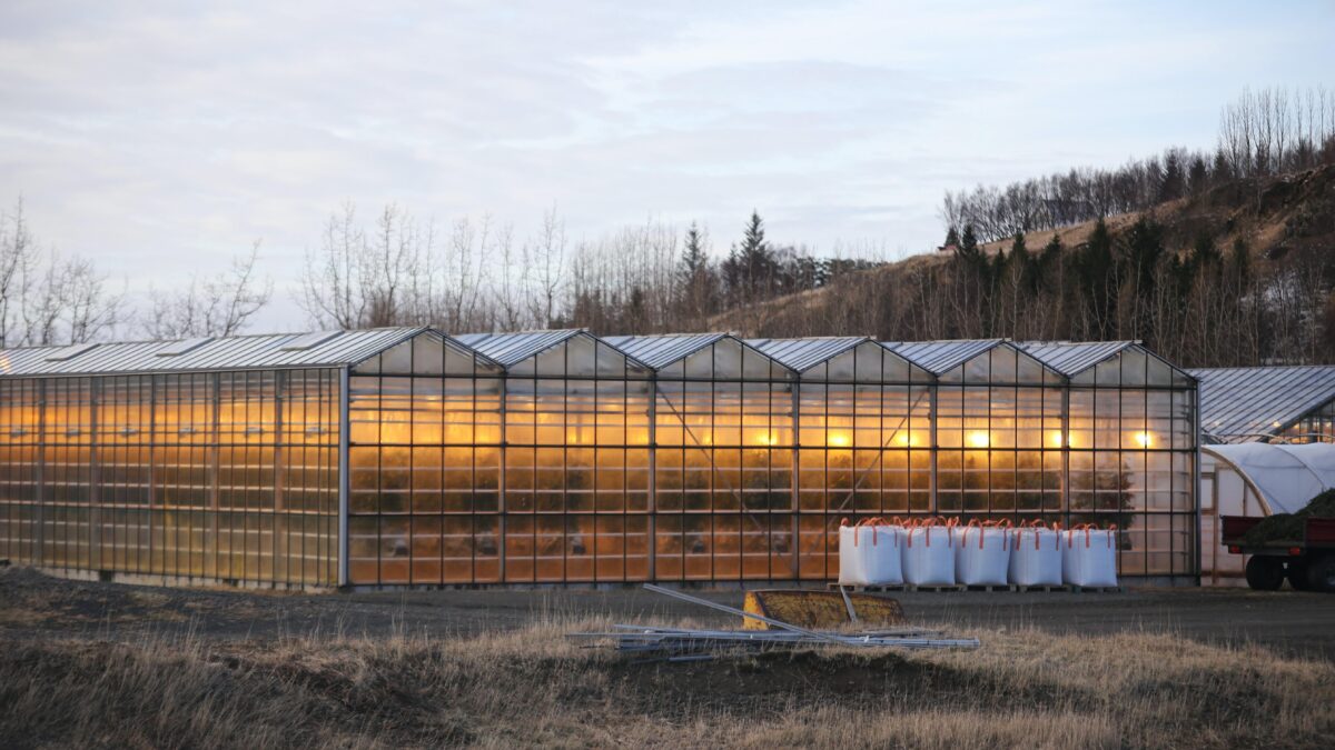 Greenhouse unsplash